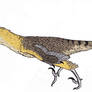 Velociraptor mongoliensis