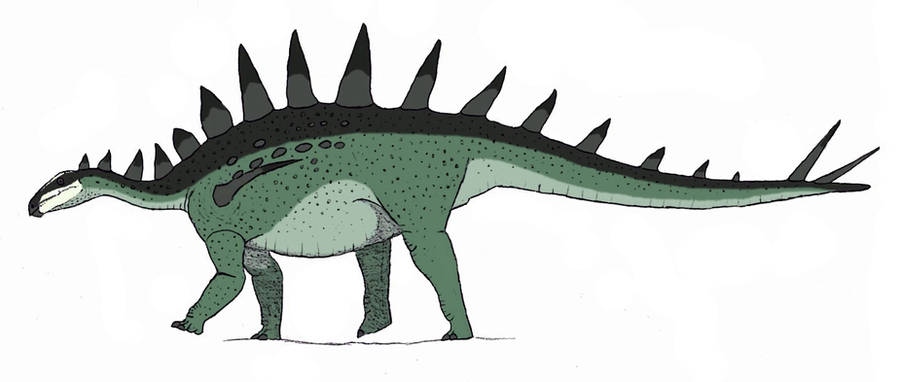 Tuojiangosaurus multispinus by TheMorlock