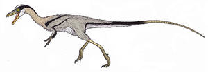 Compsognathus longipes