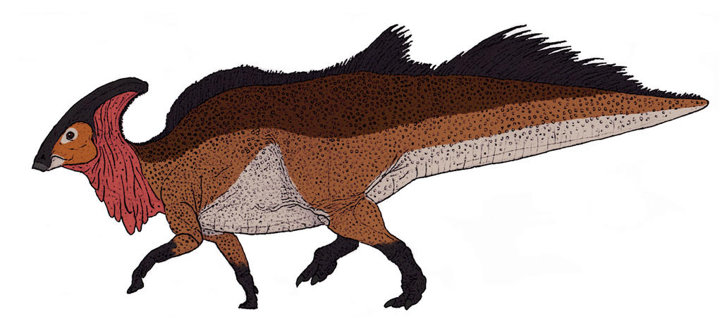 Parasaurolophus walkeri