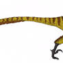 Jurassic Park Velociraptor