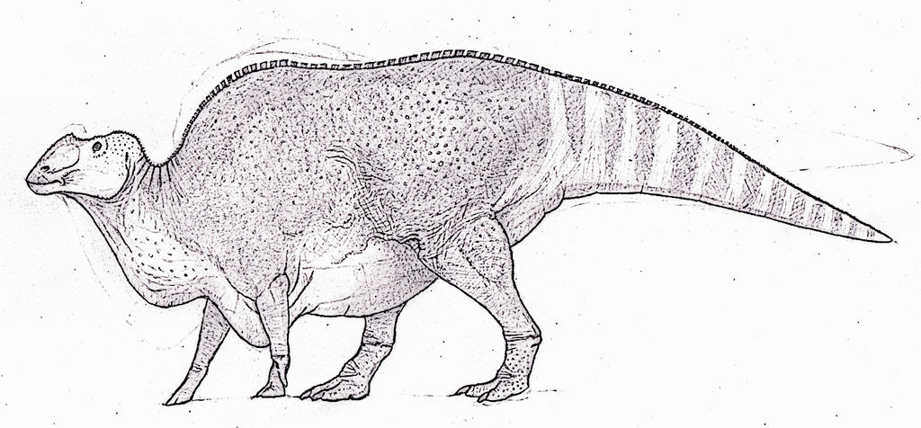 Gryposaurus WIP by TheMorlock