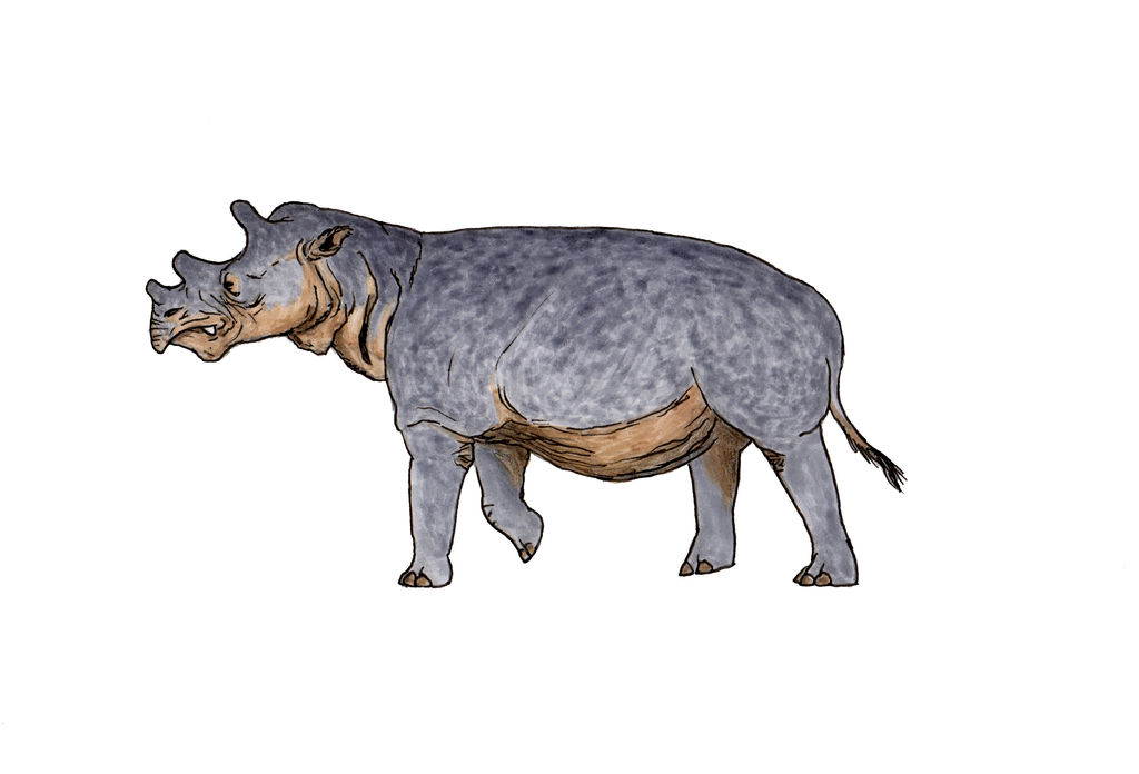 Uintatherium by TheMorlock on DeviantArt