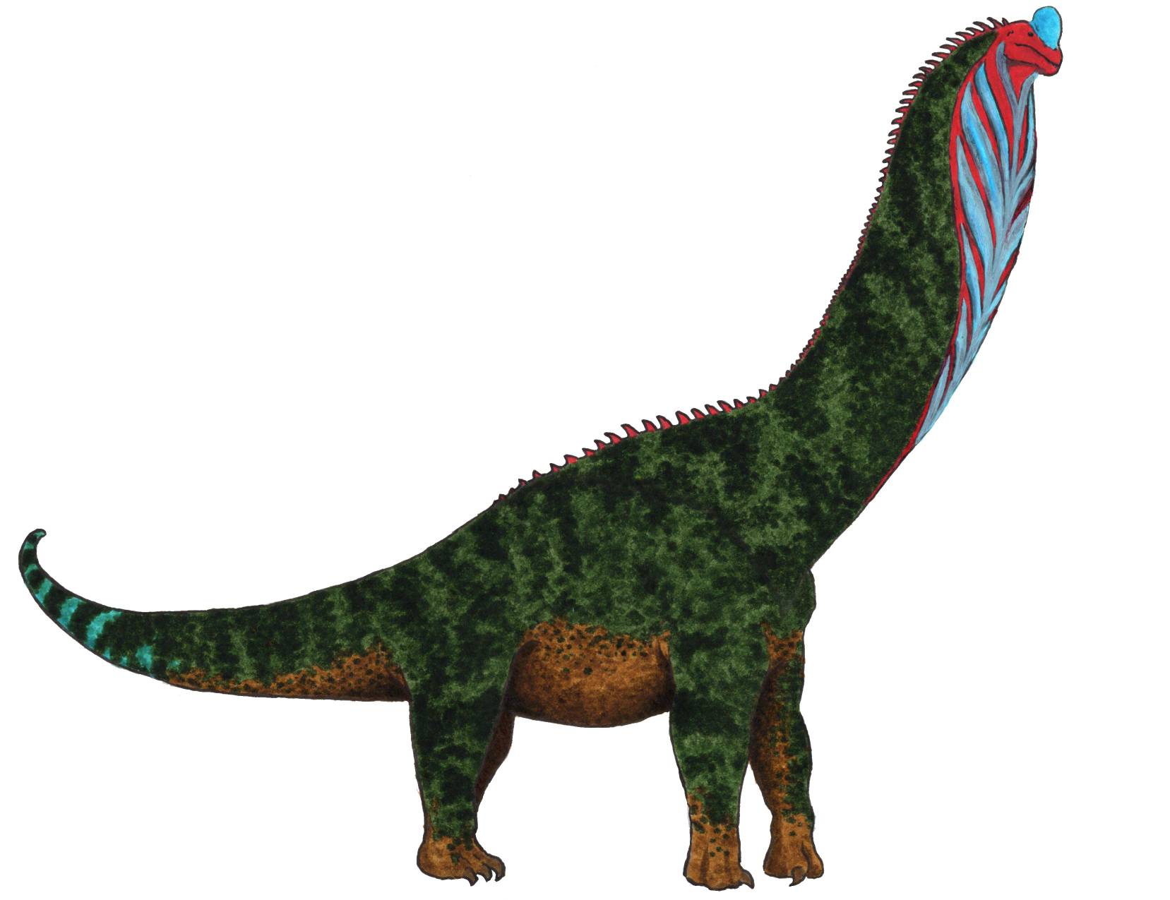 Brachiosaurus altithorax by TheMorlock on DeviantArt