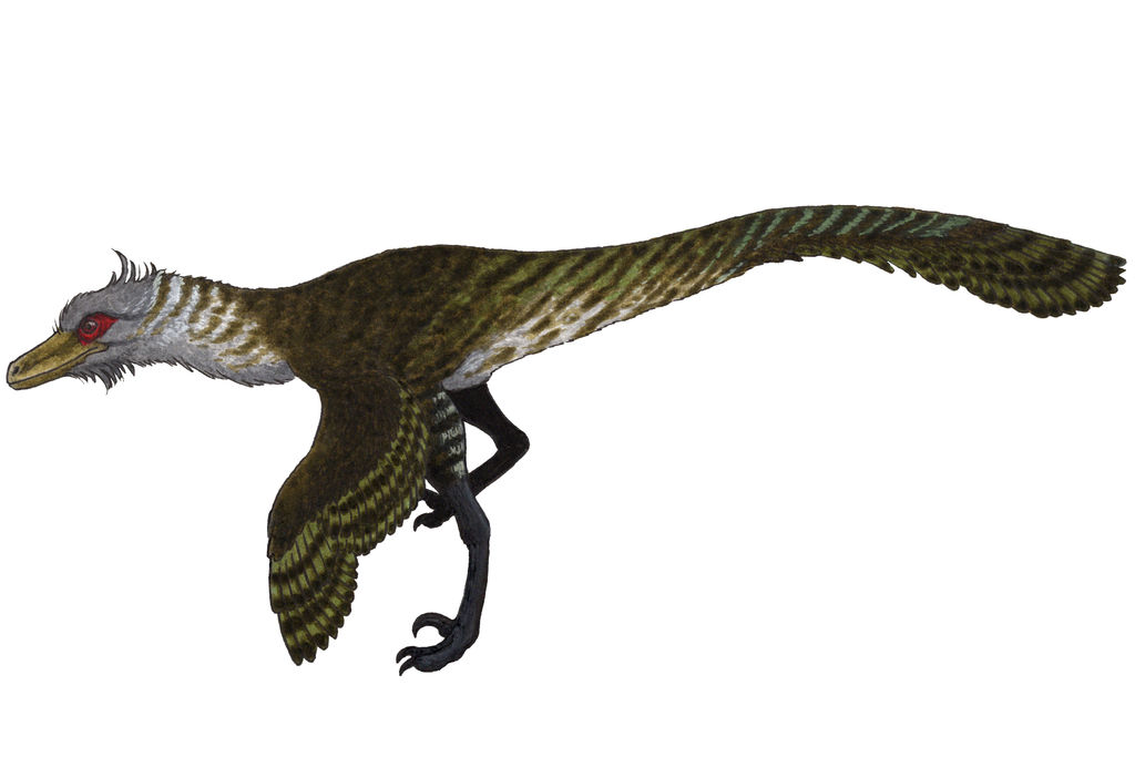 Pyroraptor olympius by TheMorlock on DeviantArt