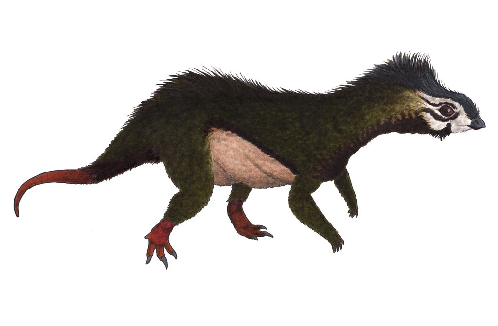 Asilisaurus Asilisaurus kongwe by TheMorlock on DeviantArt