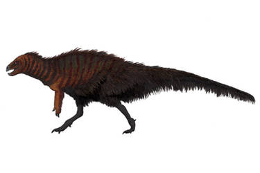Pisanosaurus mertii