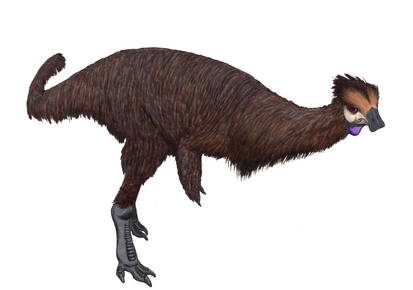 Dryosaurus altus