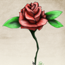 Tattoo style rose