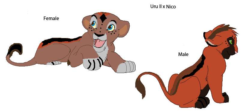 Uru II x Nico cubs