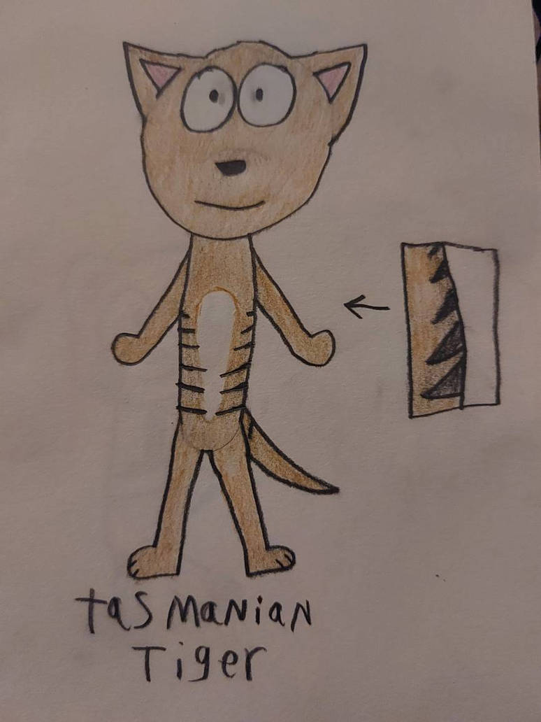 Humantaurian Humanoid tasmanian tiger by ambergirl11 on DeviantArt