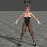 DOA5 LR Honoka Bunny costume