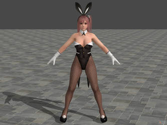 DOA5 LR Honoka Bunny costume