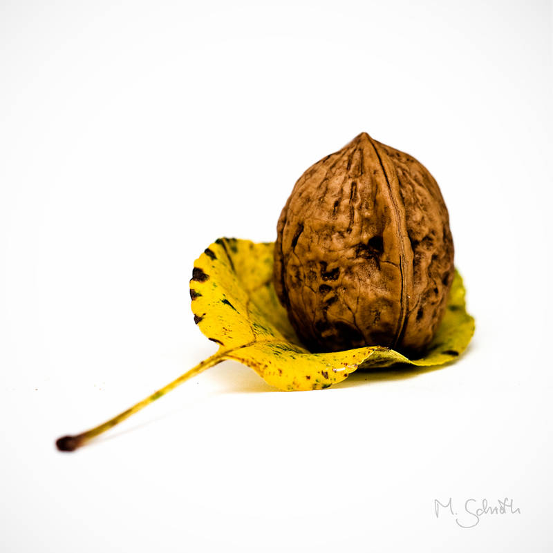 Portrait of a Walnut. by marc-bruno