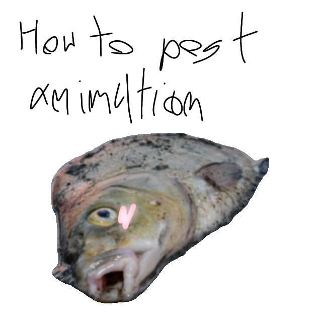 How to post animation? by R4nd0mN0b0dy on DeviantArt