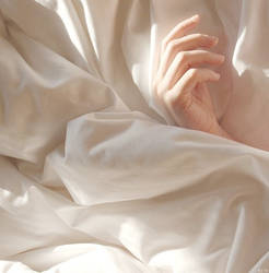 morning sun by libelle