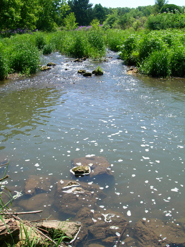 Summer Creek by AerocK on DeviantArt