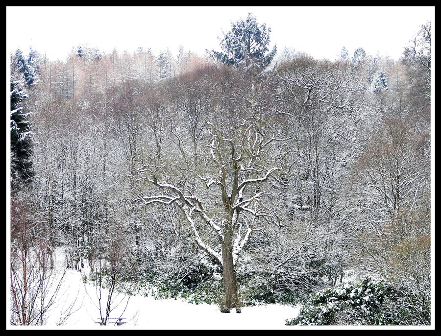 Sponge Effect by Littlegothickitty on DeviantArt