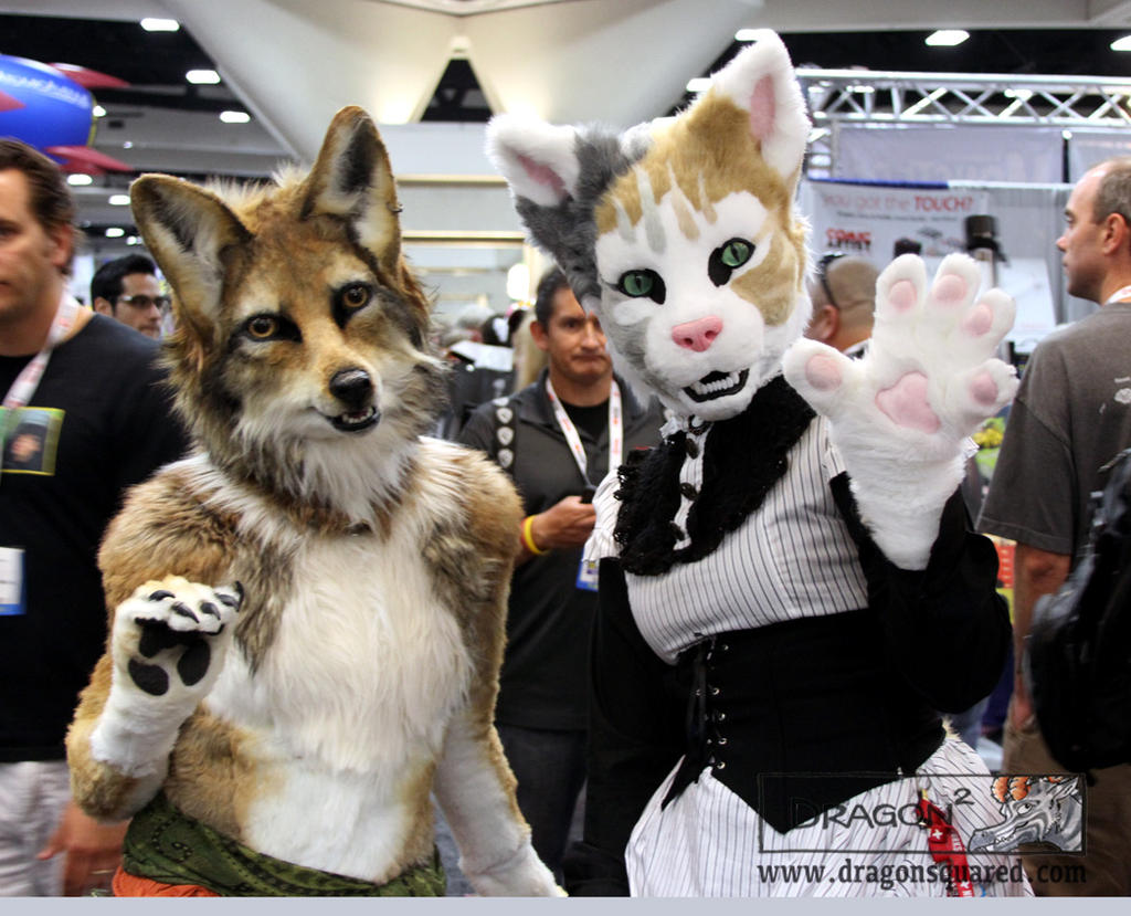 Coyote and Cat at SDCC