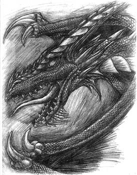 Dragon Sketch