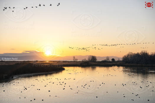 Sunrise at delta of river Soca