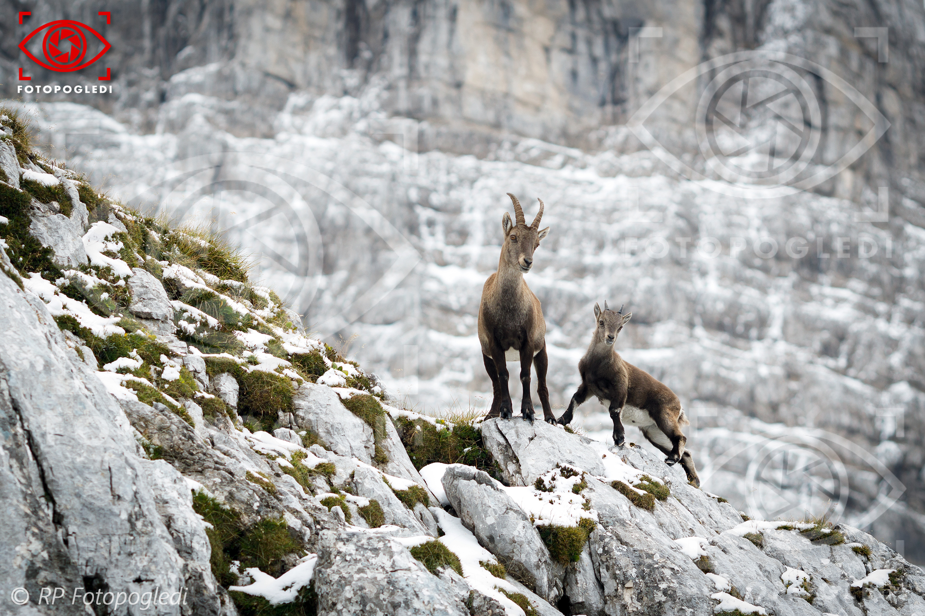Encounter at 2000 meters