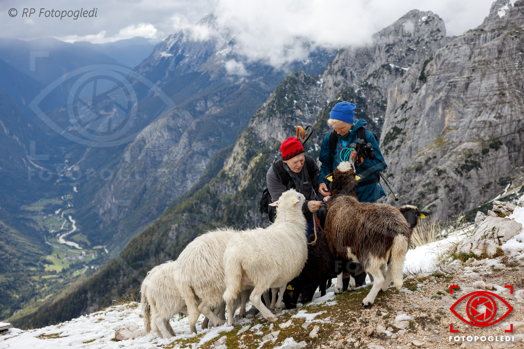 Life at 2000 meters
