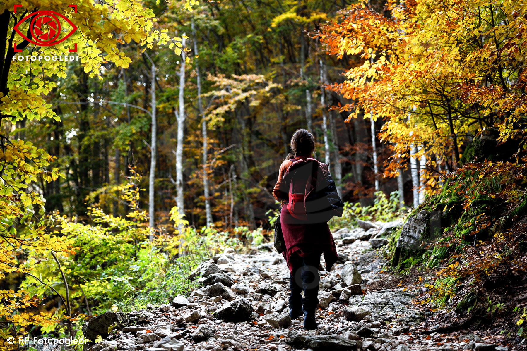 Into the nature