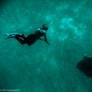 Encounter in the abyss