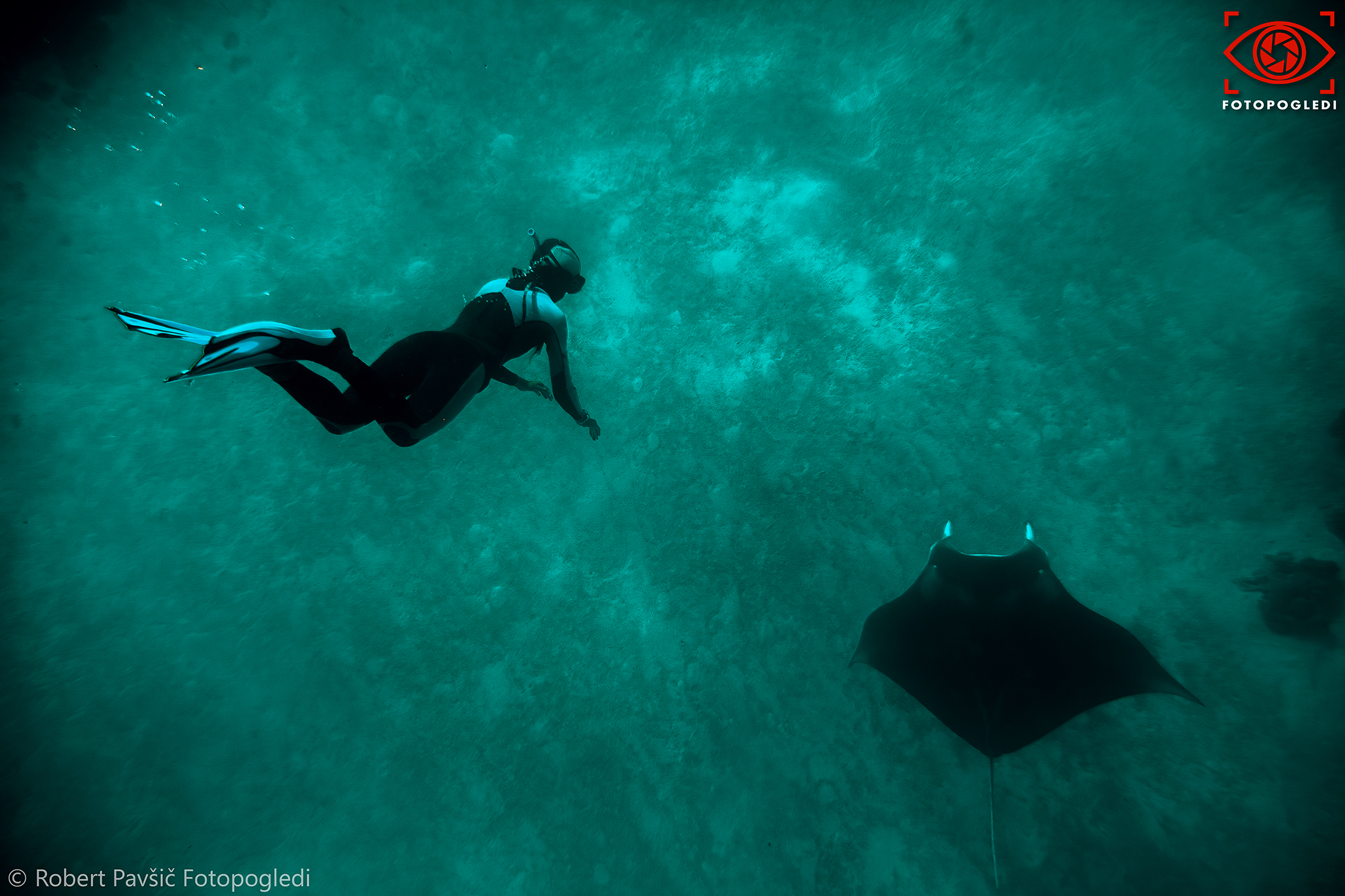 Encounter in the abyss