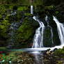 Bistrica Spring