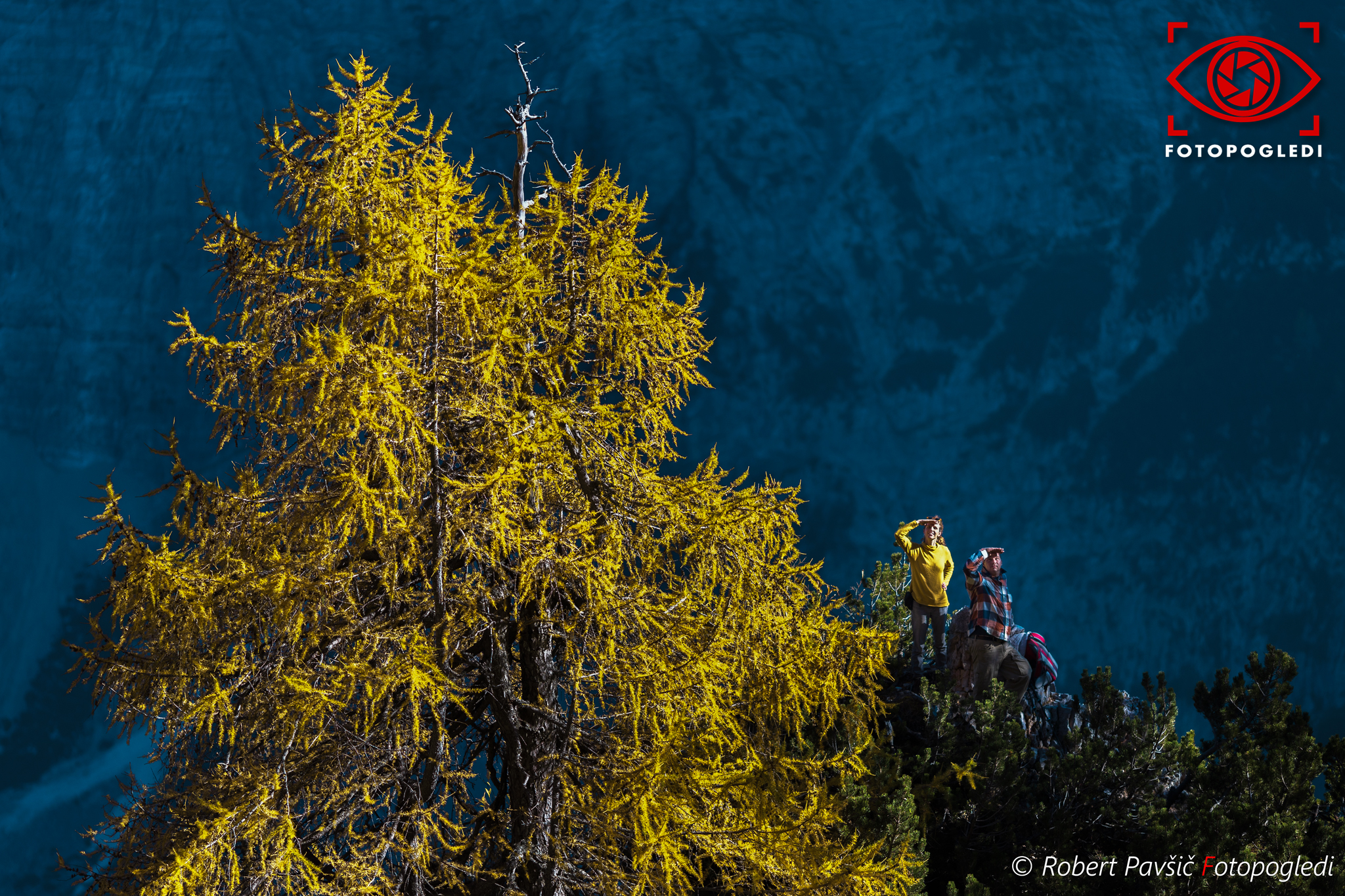 Into the wild in autumn