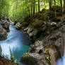 Sunikov Vodni Gaj - Lepena - Slovenia