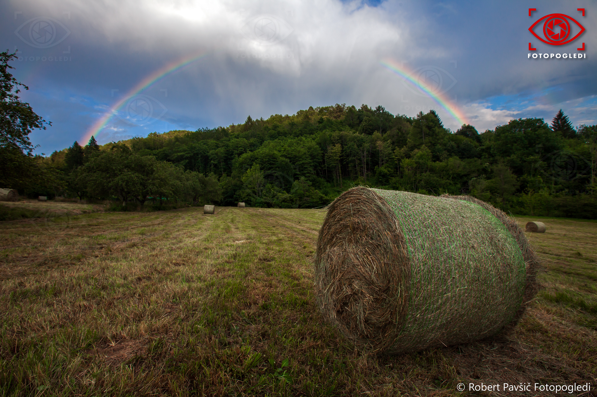 Country life Everyday Beauty