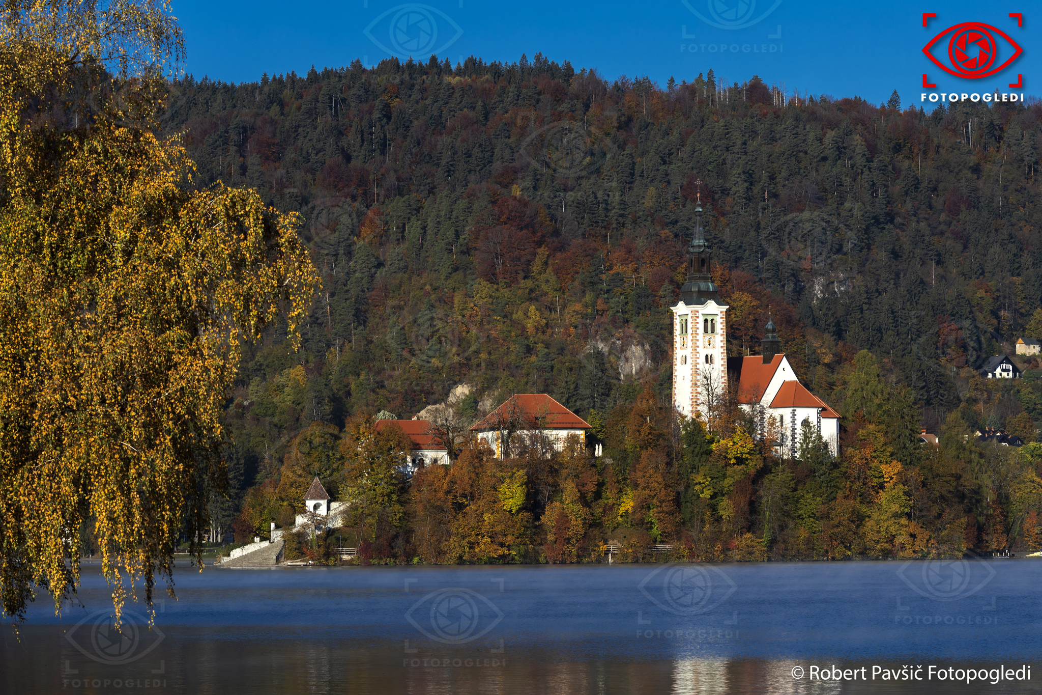 Morning on Lake Bled Slovenia