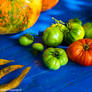 Summer Autumn Goods
