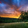 Sunset on the countryside