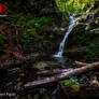 Wilderness around River Belca - Idrija