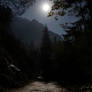 Moonlight Road