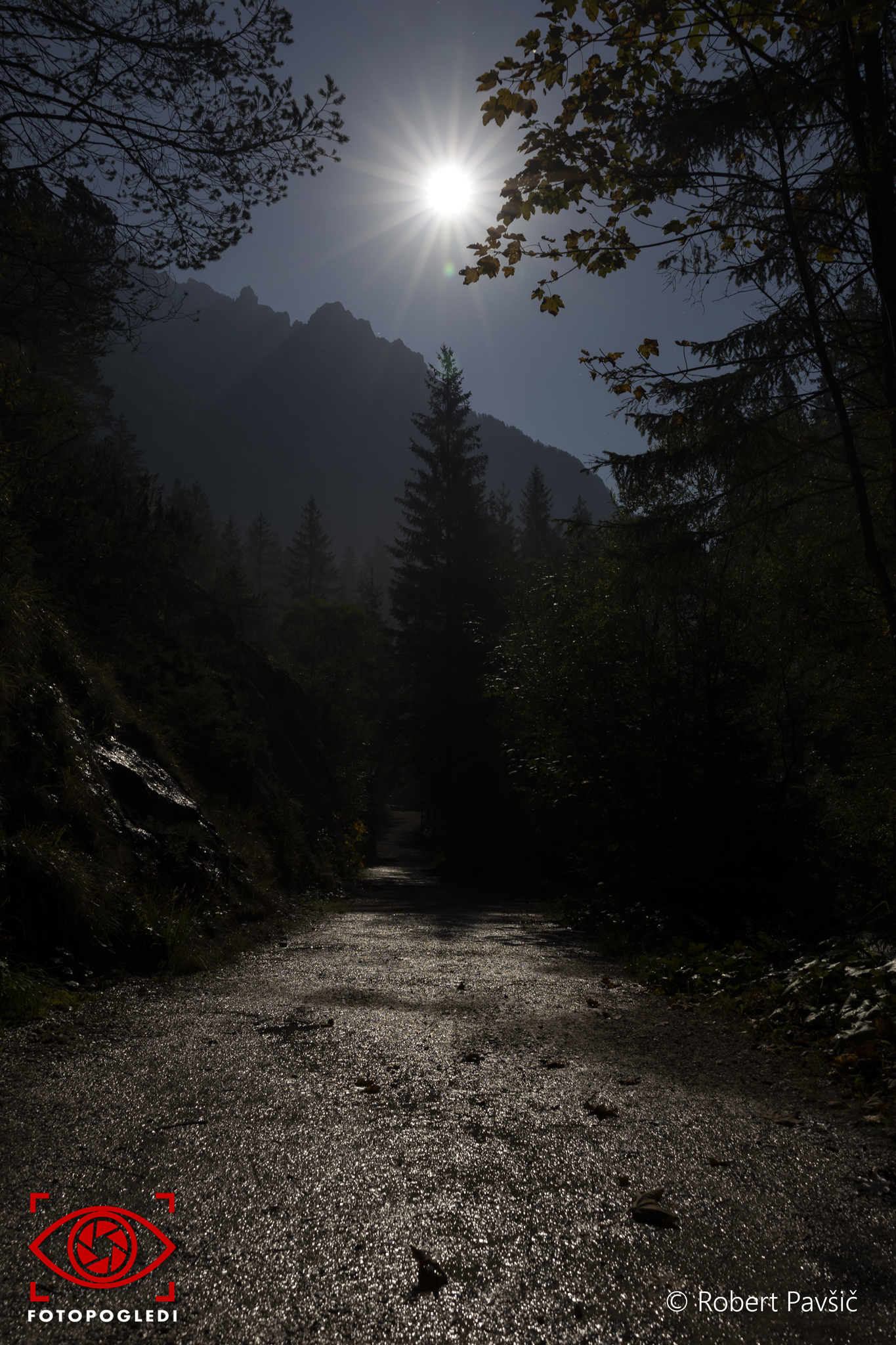 Moonlight Road