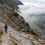 Into the Mist