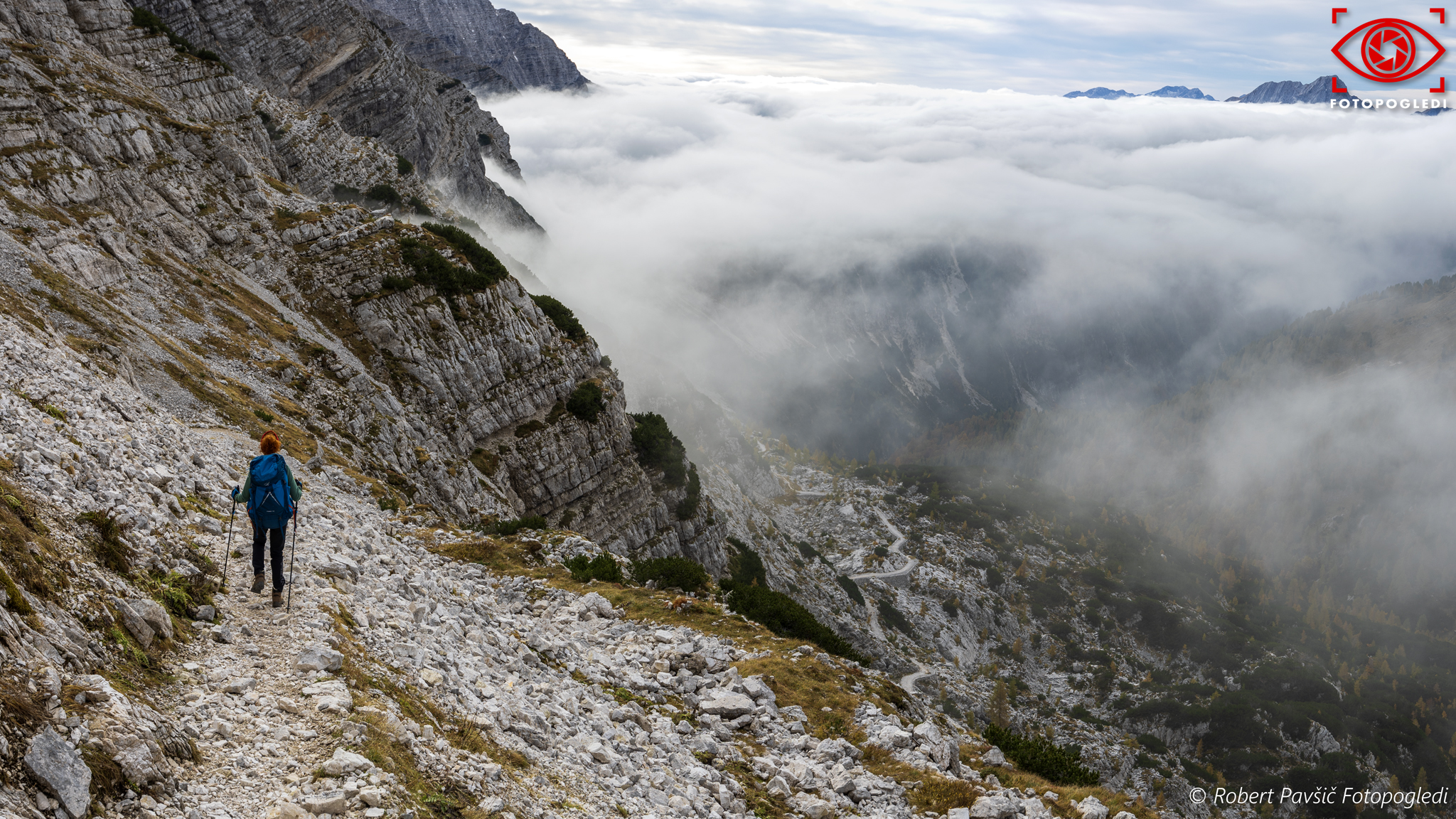 Into the Mist