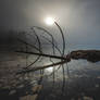 Tranquility Quintessence