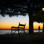 Lungomare Walk - Trieste