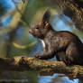 Small Lovely Encounter