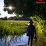 Wildlife Photographer lifestyle