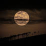 Just another Moon rising