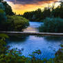 An Evening Walk at the Springs of Timavo
