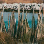 Just a view 72