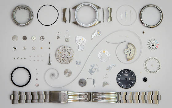 Knolled Watch